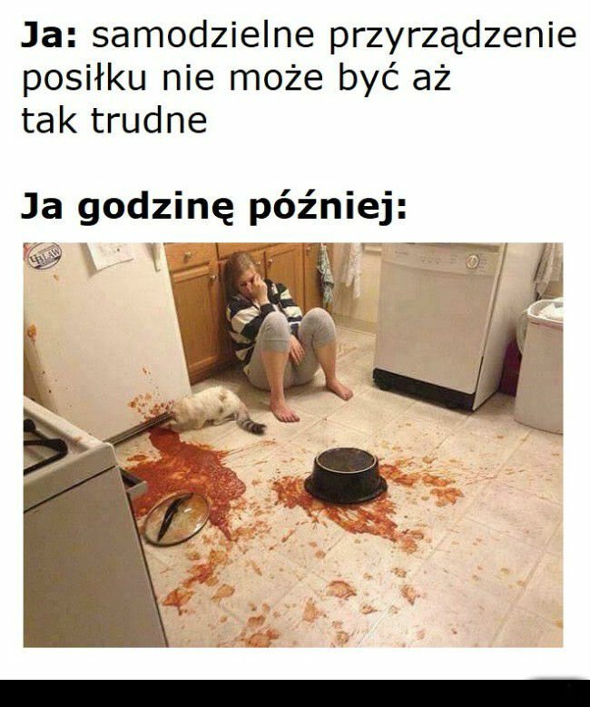 Warto być w życiu samodzielnym