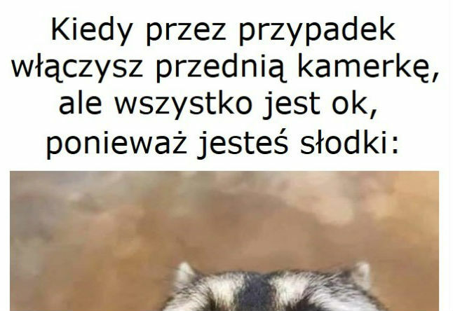 Zrobić dobre selfie to jest sztuka