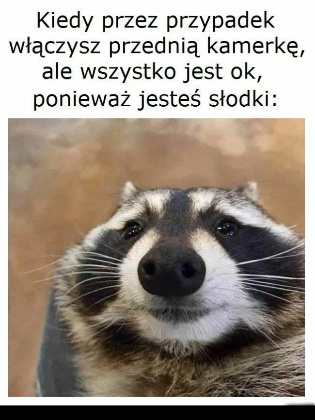 Zrobić dobre selfie to jest sztuka