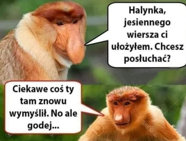 Taki poeta to skarb
