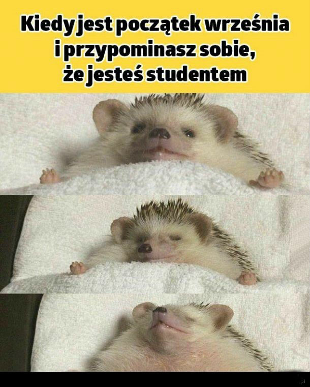 Dobrze być studentem 