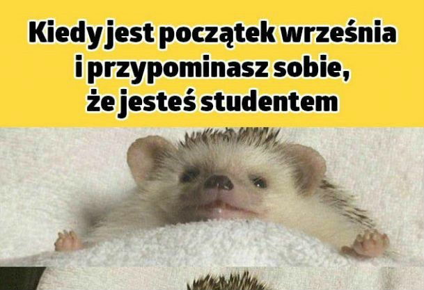 Dobrze być studentem 