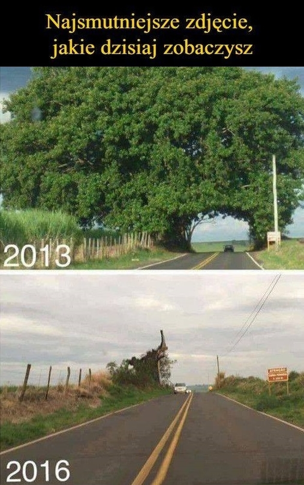 Najsmutniejsze zdjęcie, jakie dziś zobaczysz
