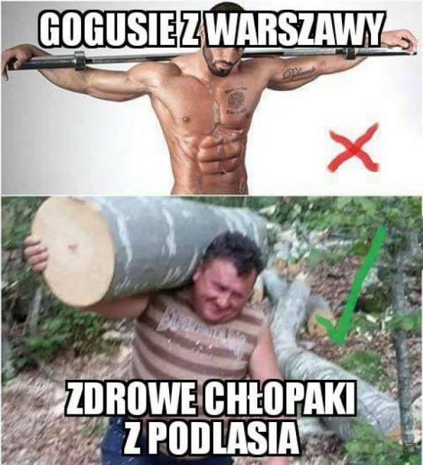 Gogusie z Warszawy vs zdrowe chłopaki z Podlasia