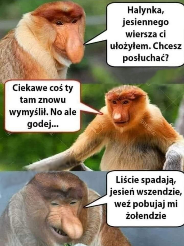 Jesienny wiersz od Janusza :D