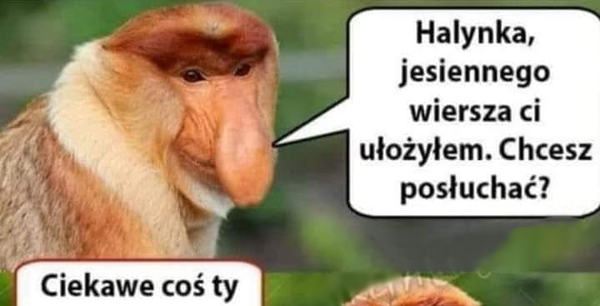 Jesienny wiersz od Janusza :D