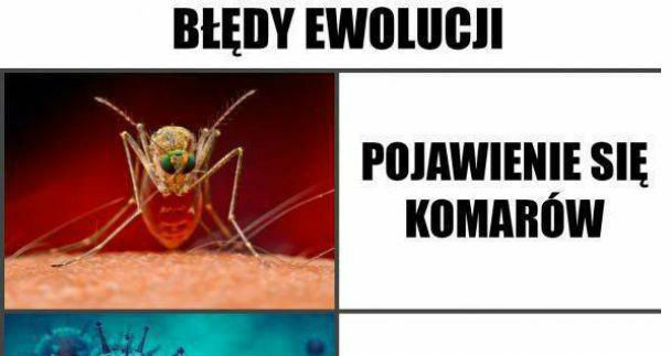 Największe błędy ewolucji