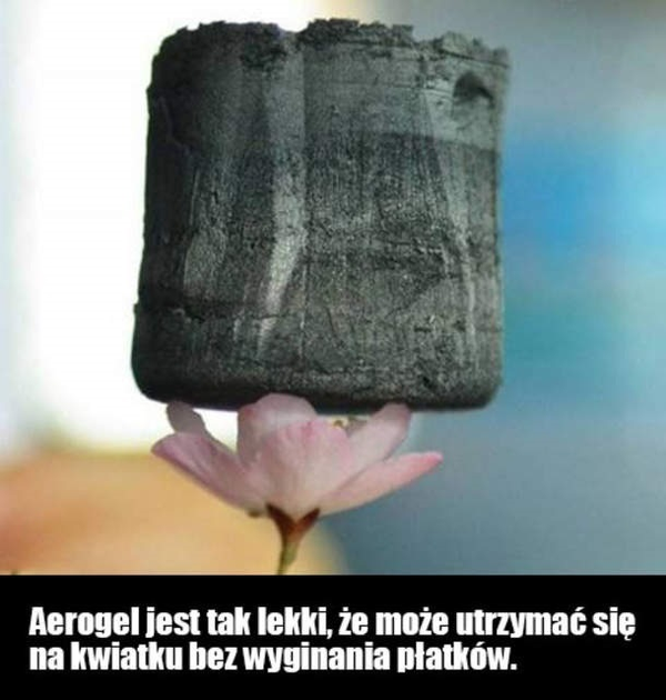 WOW Niezwykłe zdjęcie!