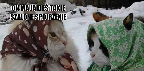 Ach te sąsiadki