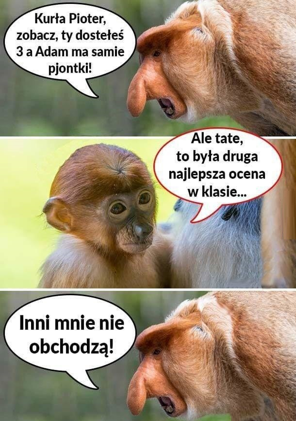 Szkolny klasyczek :D