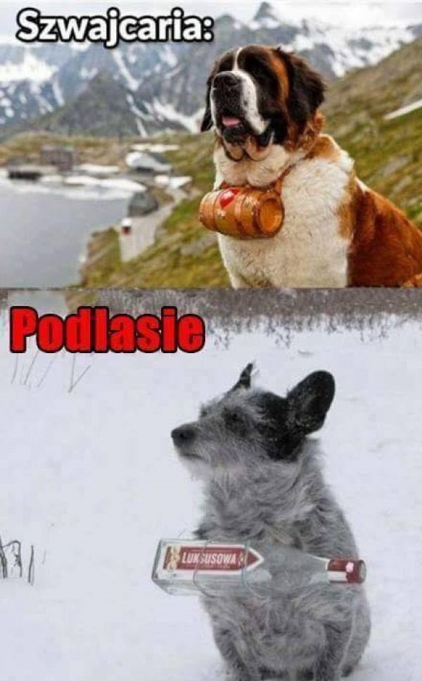 Szwajcaria vs Podlasie :D 