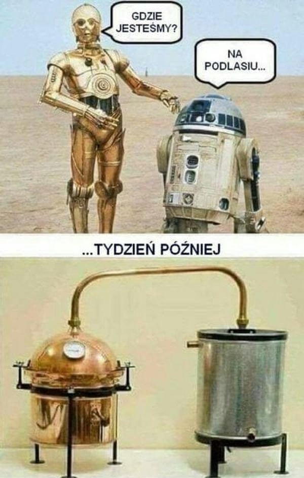 Tydzień na Podlasiu :D