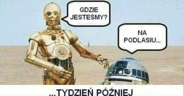 Tydzień na Podlasiu :D