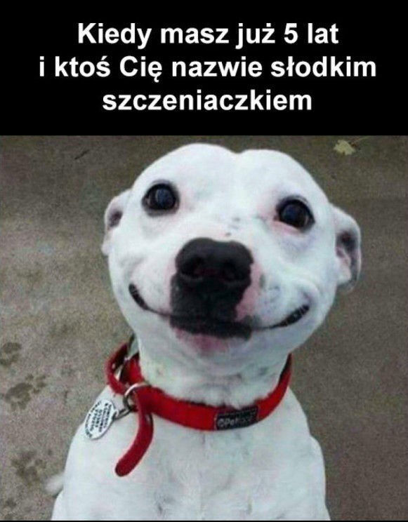 Ale słodziak