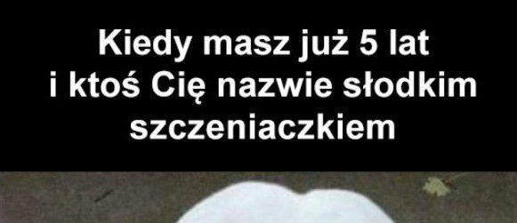 Ale słodziak