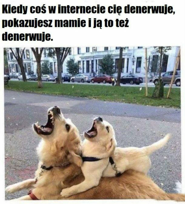 Mama zawsze zrozumie 
