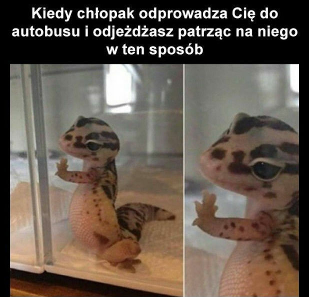 Słodko