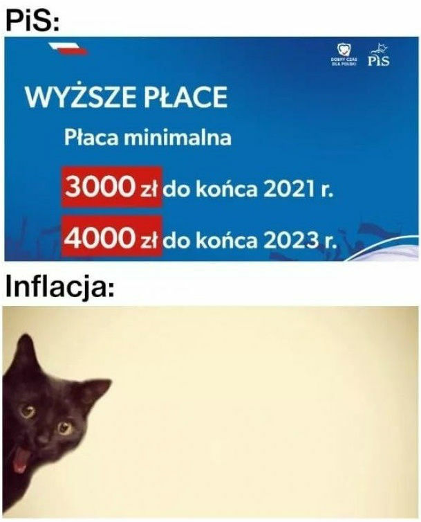 Kampania wyborcza wrze