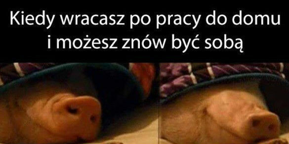 Grunt to być sobą