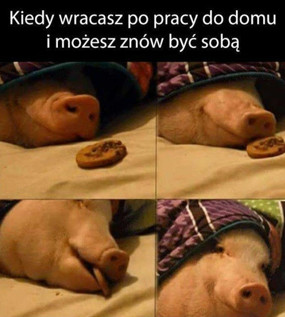 Grunt to być sobą