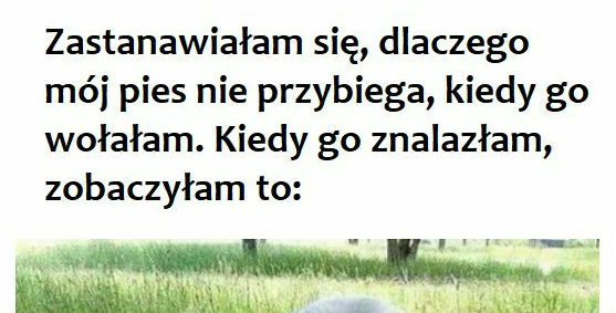 I wszystko stało się jasne 