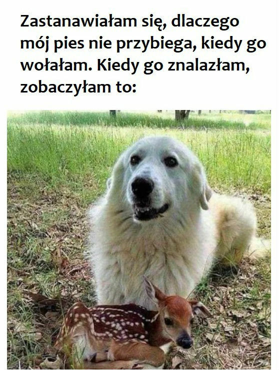 I wszystko stało się jasne 