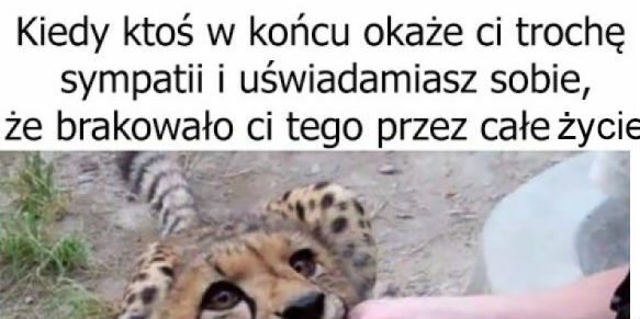 Sympatia zawsze mile widziana