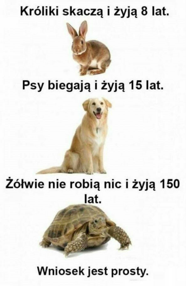 Wniosek jest banalnie prosty