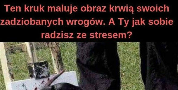 To ci umiejętność