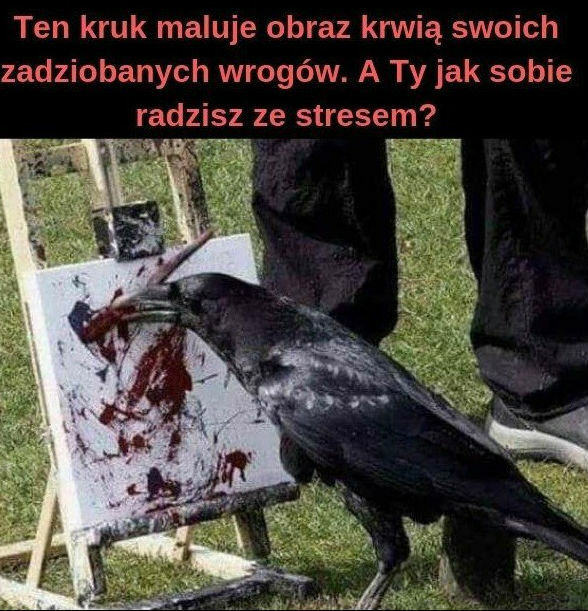 To ci umiejętność