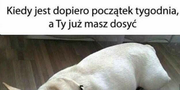 A to dopiero początek