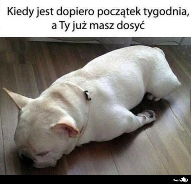 A to dopiero początek