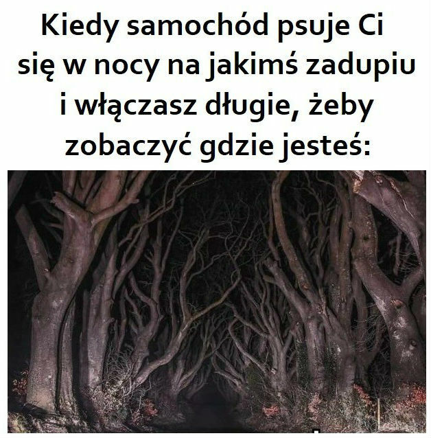 Co tu zrobić?!
