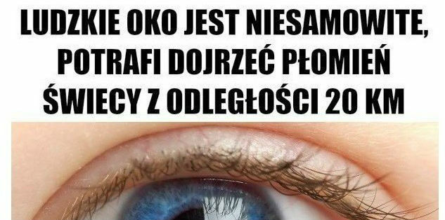 Trafne spostrzeżenie