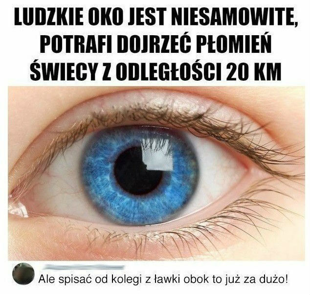 Trafne spostrzeżenie