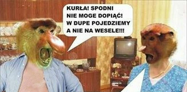 Trzeba słuchać żony