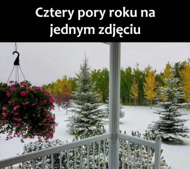 Cztery pory roku na jednym zdjęciu