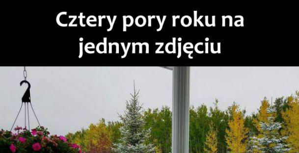 Cztery pory roku na jednym zdjęciu