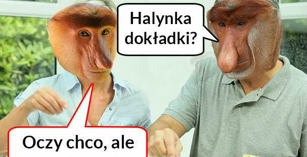 Czy Halynka chce dokładki?