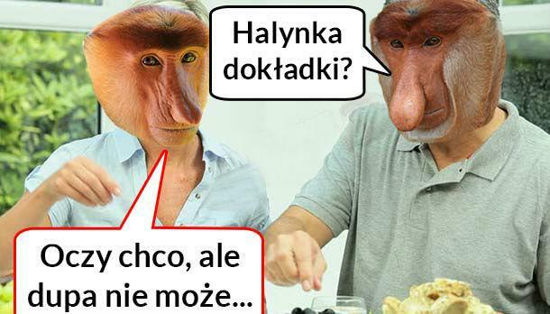 Czy Halynka chce dokładki?