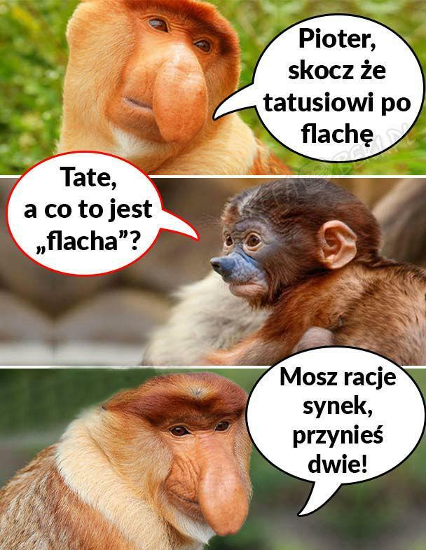 Flacha dla Janusza :D
