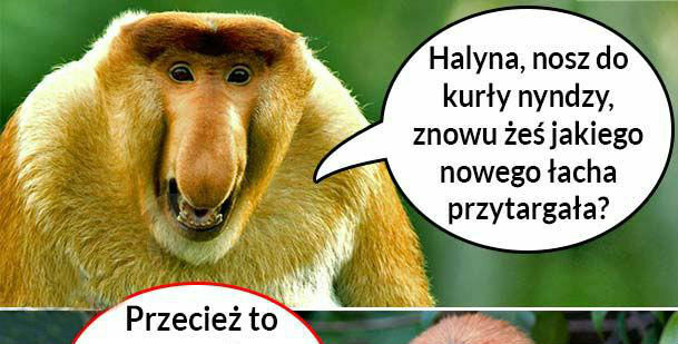 Halyna i jej nowe ciuszki