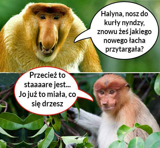 Halyna i jej nowe ciuszki