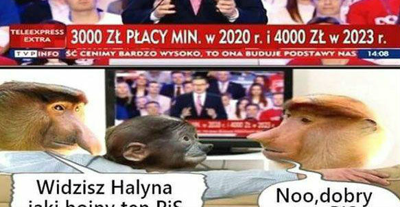 Wybory tuż-tuż