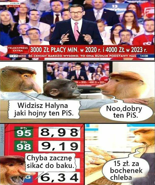 Wybory tuż-tuż