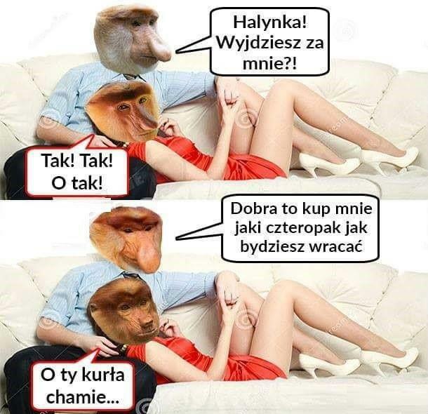Janusz romantyk w akcji :D