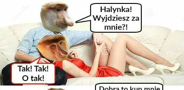 Janusz romantyk w akcji :D