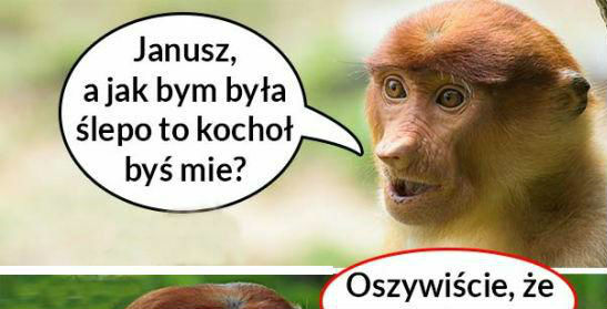 Miłość do Halynki :D