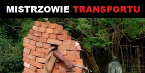 Mistrzowie transportu :D