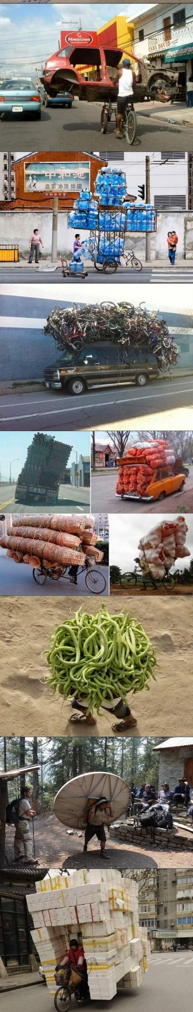 Mistrzowie transportu :D